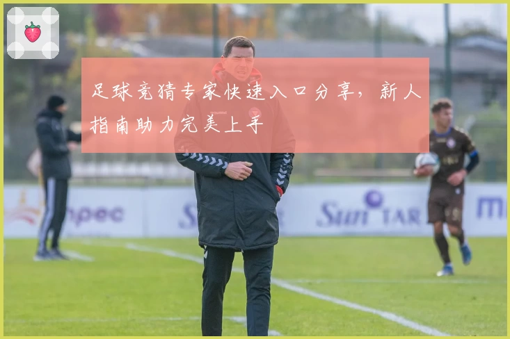 足球竞猜专家快速入口分享，新人指南助力完美上手