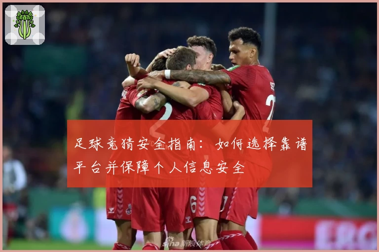 足球竞猜安全指南：如何选择靠谱平台并保障个人信息安全